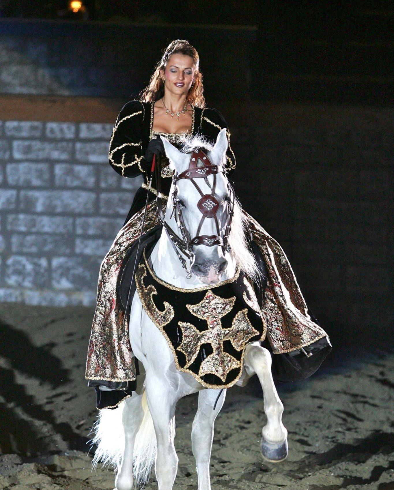 Equestrian Dressage